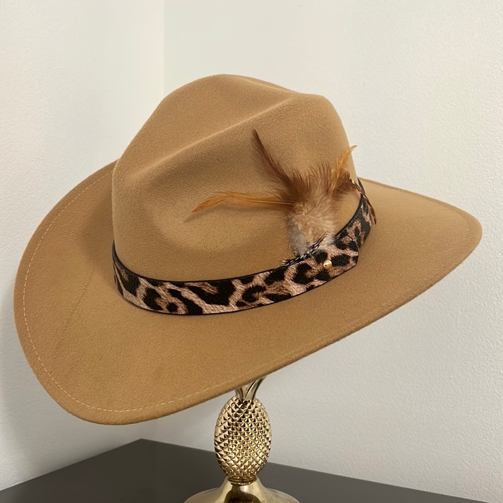 Cowboys Hat